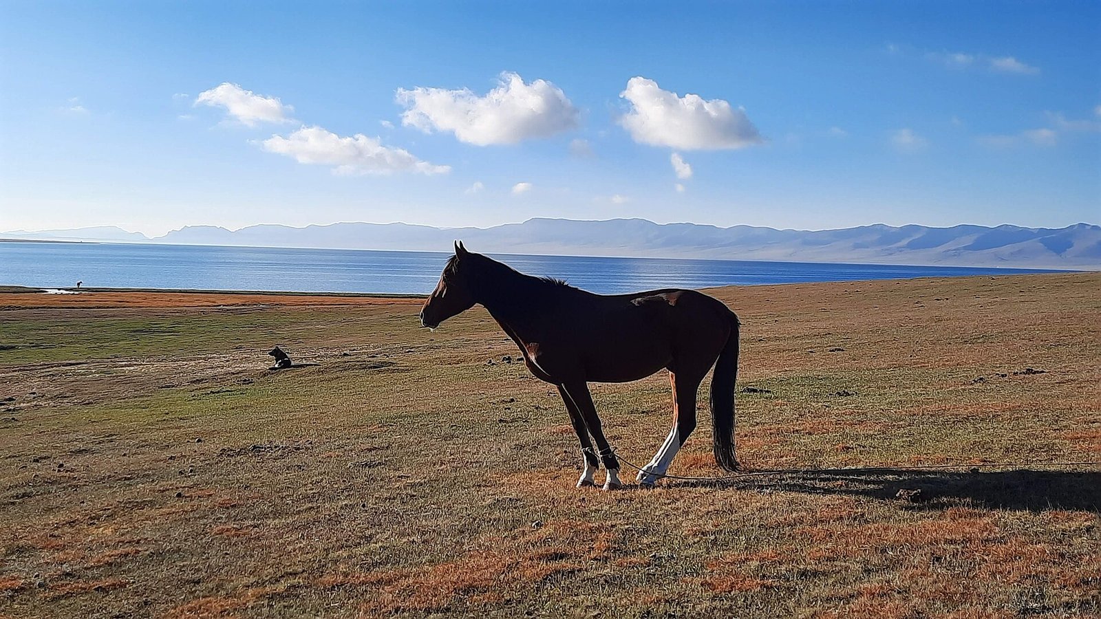 Turan Travel hakkımızda görseli